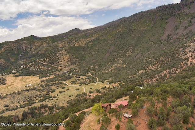 2800 Cedar Dr, Basalt, CO 81621 - mountain view
