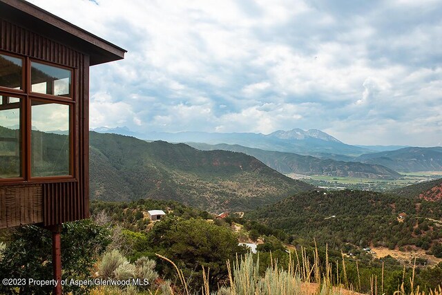 2800 Cedar Dr, Basalt, CO 81621 - mountain view