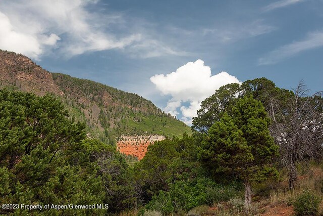 2800 Cedar Dr, Basalt, CO 81621 - view of mountain backdrop