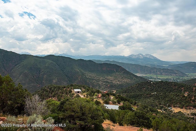 2800 Cedar Dr, Basalt, CO 81621 - mountain view