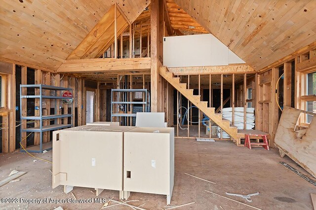 2800 Cedar Dr, Basalt, CO 81621 - view of below grade area