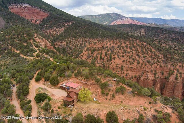 2800 Cedar Dr, Basalt, CO 81621 - mountain view