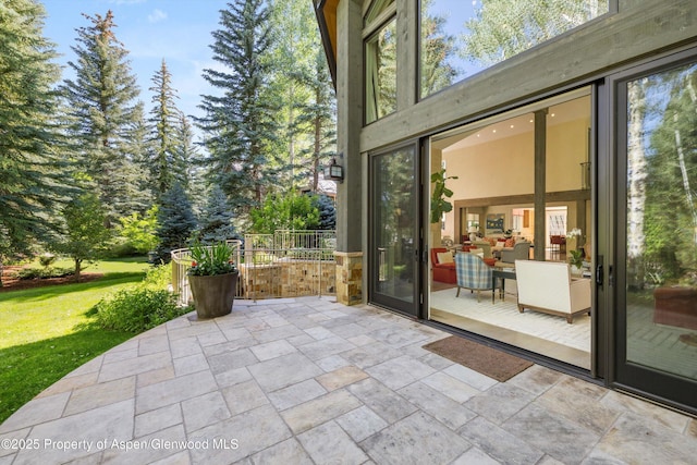 10 Ute Pl, Aspen, CO 81611 - view of patio