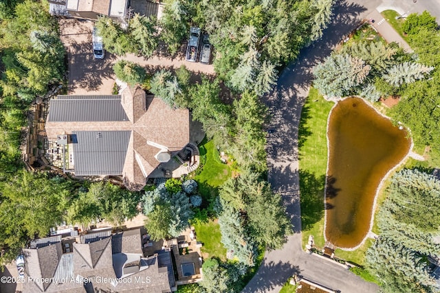 10 Ute Pl, Aspen, CO 81611 - drone / aerial view
