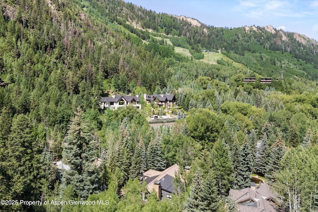 10 Ute Pl, Aspen, CO 81611 - aerial overview of property's location with a heavily wooded area
