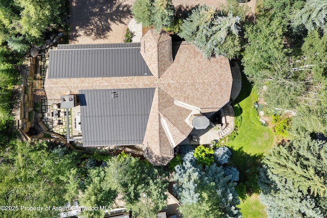 10 Ute Pl, Aspen, CO 81611 - aerial view of property and surrounding area