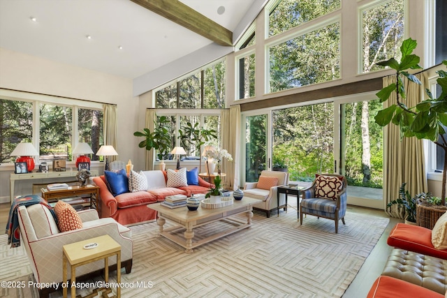 10 Ute Pl, Aspen, CO 81611 - sunroom with a towering ceiling and beamed ceiling