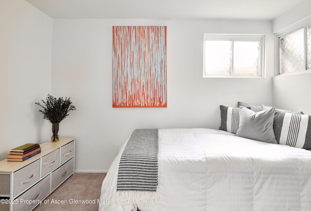 814 W Bleeker St Unit C-1, Aspen, CO 81611 - photo 12