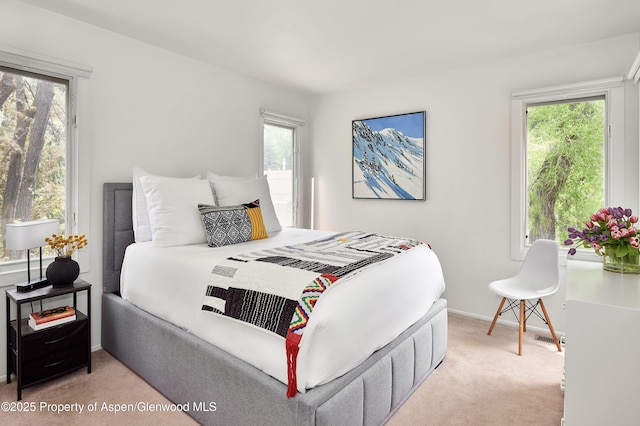 814 W Bleeker St Unit C-1, Aspen, CO 81611 - photo 8