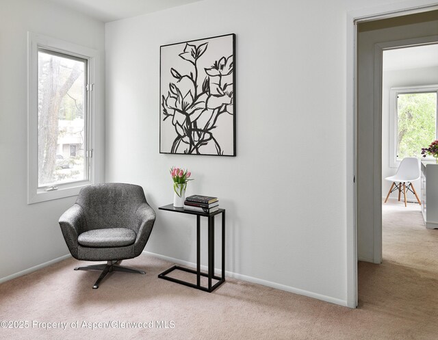 814 W Bleeker St Unit C-1, Aspen, CO 81611 - photo 11