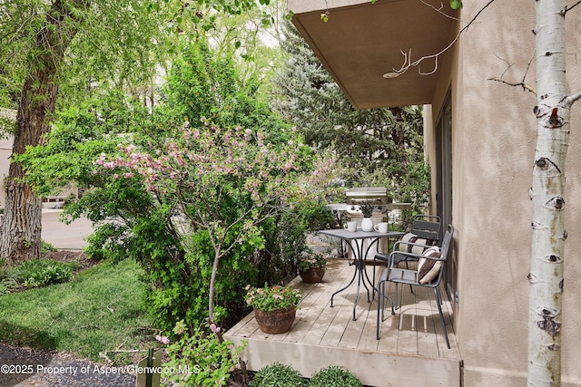 814 W Bleeker St Unit C-1, Aspen, CO 81611 - photo 16