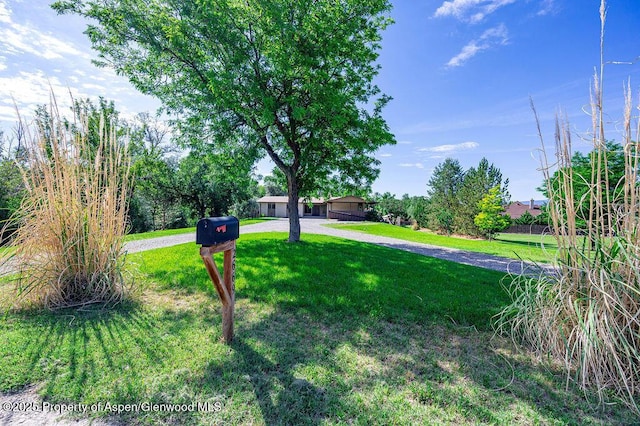 2669 Sperber Ln, Grand Junction, CO 81506 - photo 4