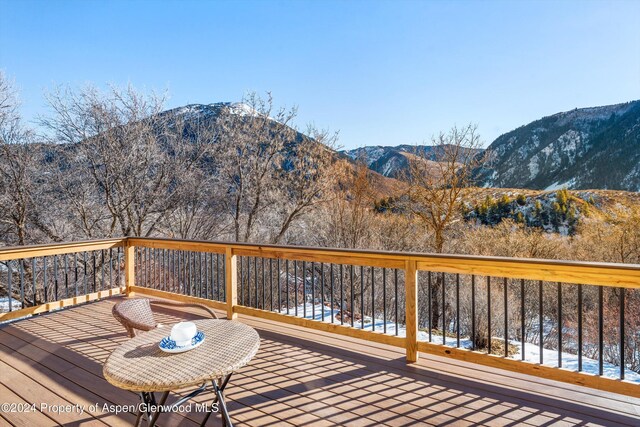 212 Cherokee Ln, Carbondale, CO 81623 - photo 15