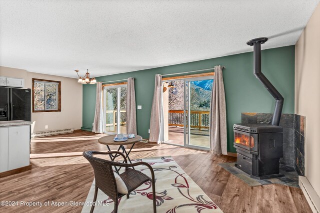 212 Cherokee Ln, Carbondale, CO 81623 - photo 8