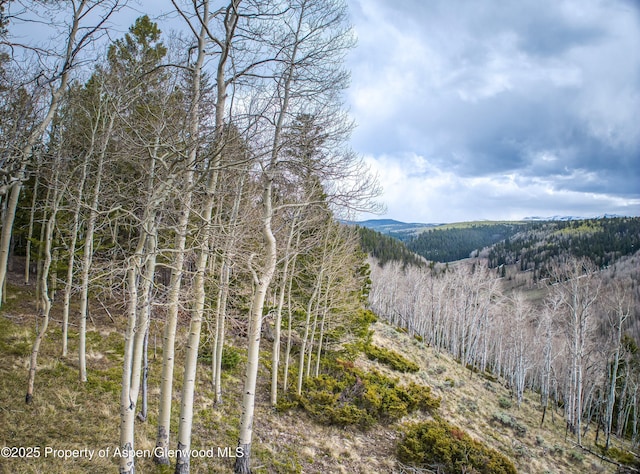 3 Hazel Lake Dr, Cimarron, CO 81220 - view of mountain background with a forest