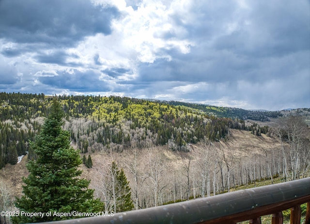 3 Hazel Lake Dr, Cimarron, CO 81220 - view of mountain background featuring a forest