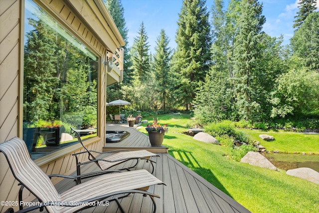 473 Creek Ln, Snowmass Village, CO 81615 - photo 59
