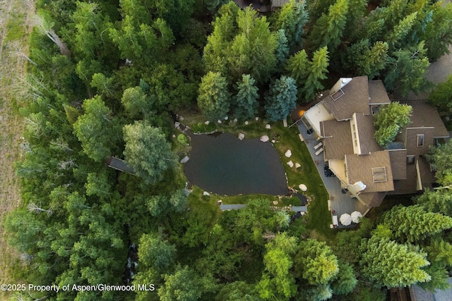 473 Creek Ln, Snowmass Village, CO 81615 - photo 8