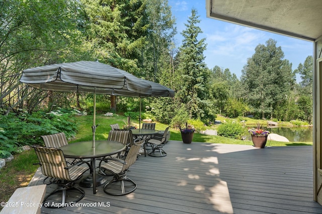 473 Creek Ln, Snowmass Village, CO 81615 - photo 55