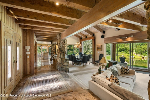 473 Creek Ln, Snowmass Village, CO 81615 - photo 31