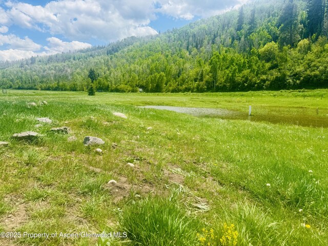 3915 County Road 10, Meeker, CO 81641 - photo 6