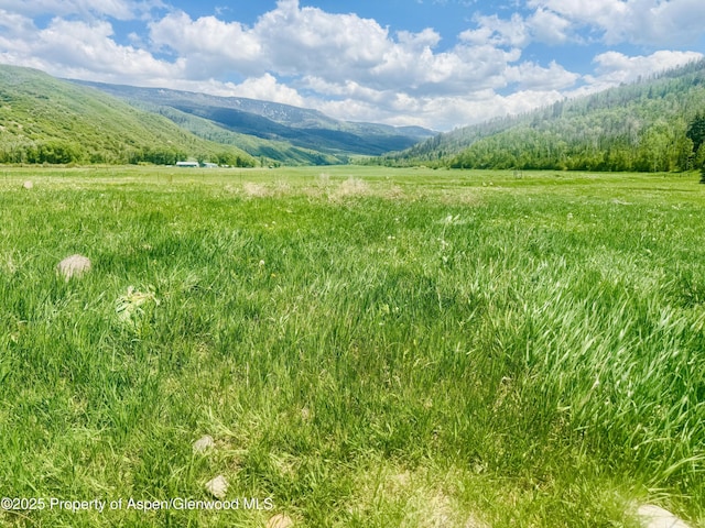 3915 County Road 10, Meeker, CO 81641 - photo 9