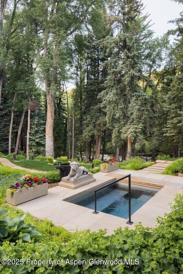 1310 Red Butte Dr, Aspen, CO 81611 - photo 18