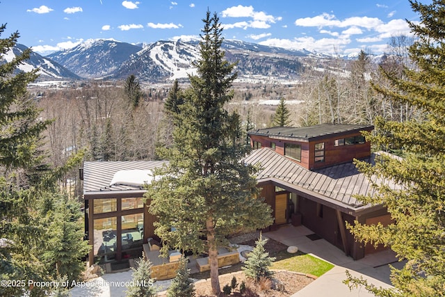 62 Bennett Ct, Aspen, CO 81611 - mountain view