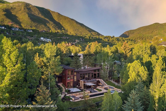 62 Bennett Ct, Aspen, CO 81611 - view of mountain background featuring a forest