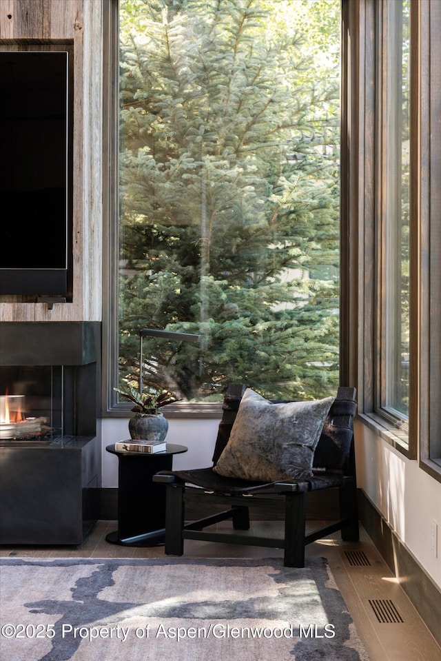 62 Bennett Ct, Aspen, CO 81611 - sitting room featuring a glass covered fireplace