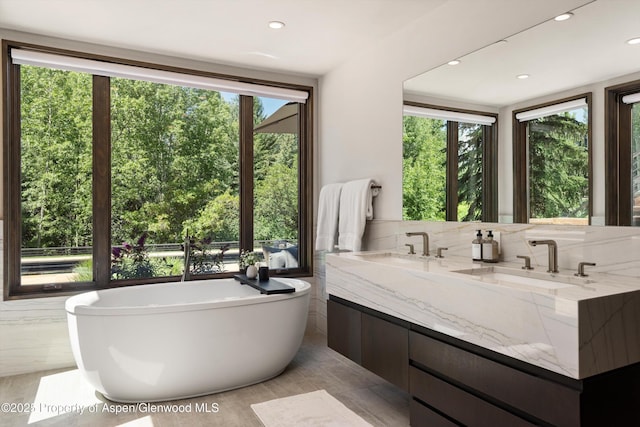 62 Bennett Ct, Aspen, CO 81611 - full bath with healthy amount of natural light, a freestanding tub, double vanity, and recessed lighting