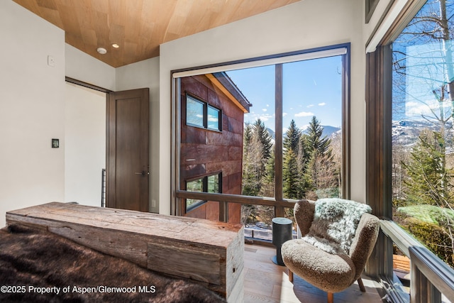 62 Bennett Ct, Aspen, CO 81611 - view of sunroom / solarium