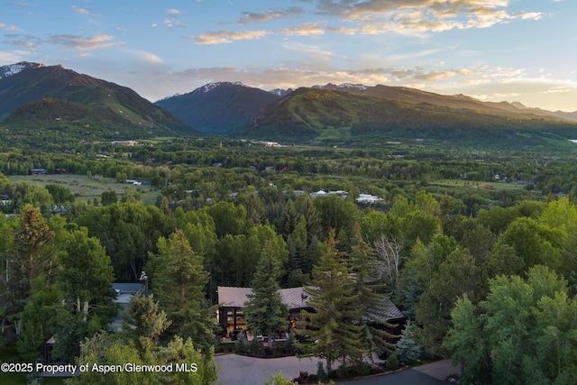 62 Bennett Ct, Aspen, CO 81611 - view of mountain background with a heavily wooded area