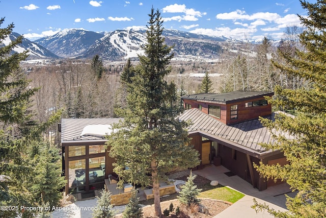 62 Bennett Ct, Aspen, CO 81611 - view of mountain background