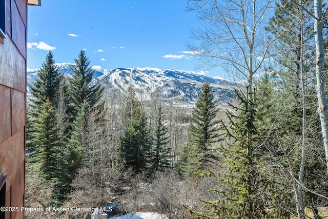 62 Bennett Ct, Aspen, CO 81611 - view of mountain backdrop featuring a forest