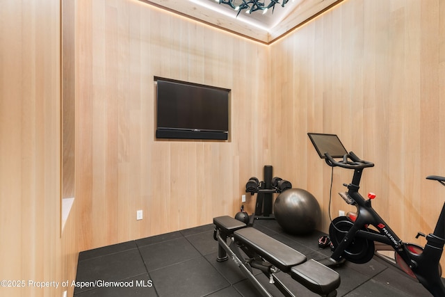 62 Bennett Ct, Aspen, CO 81611 - view of workout room