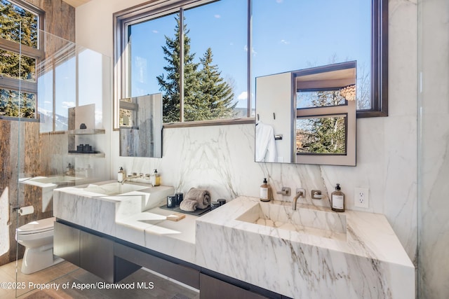 62 Bennett Ct, Aspen, CO 81611 - full bath with toilet and double vanity