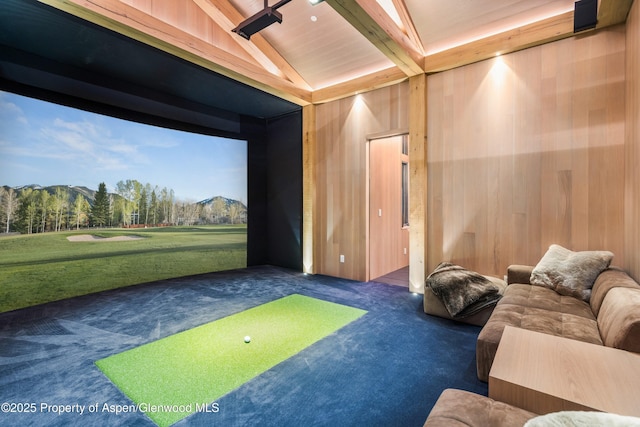 62 Bennett Ct, Aspen, CO 81611 - playroom featuring golf simulator, carpet, wood walls, and a mountain view
