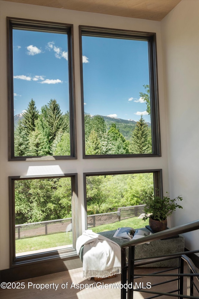 62 Bennett Ct, Aspen, CO 81611 - detailed view