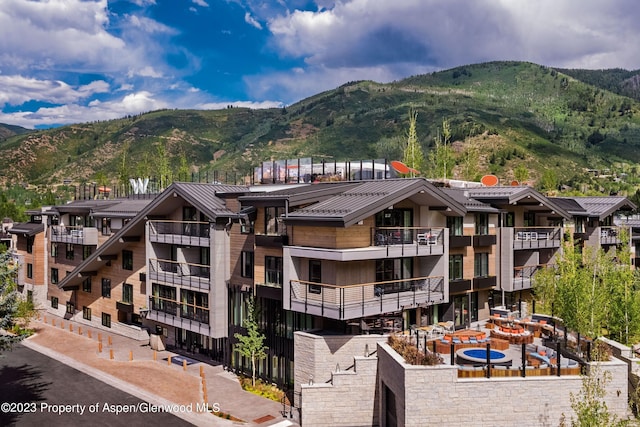 550 S Spring St Unit F10-1-10, Aspen, CO 81611 - photo 58