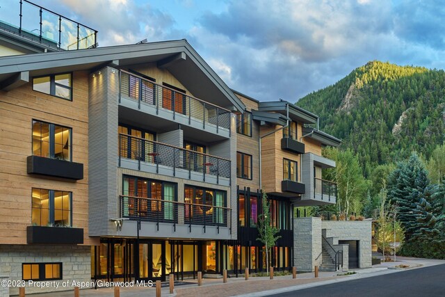 550 S Spring St Unit F10-1-10, Aspen, CO 81611 - photo 48