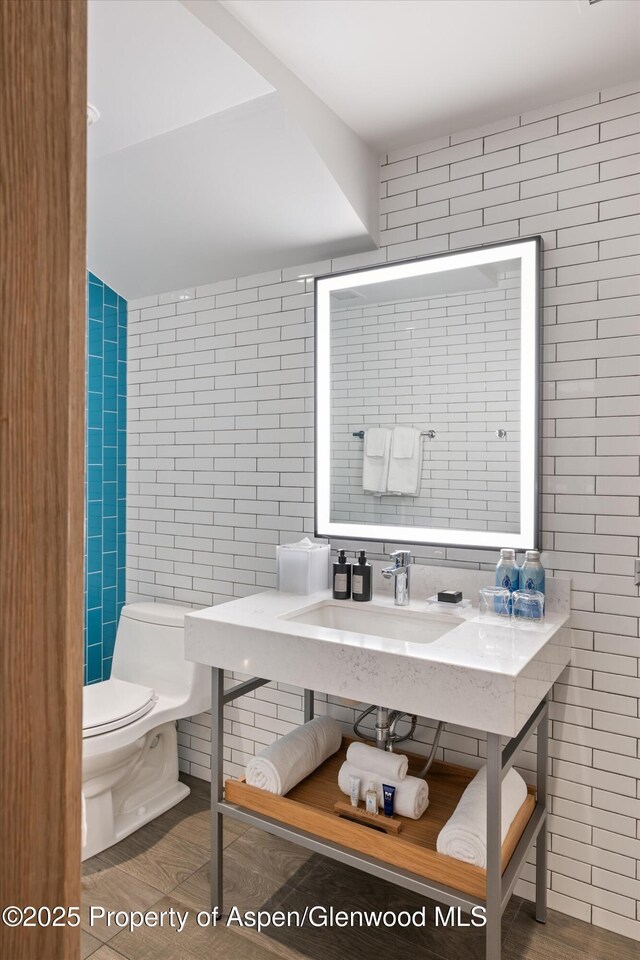 550 S Spring St Unit F10-1-10, Aspen, CO 81611 - photo 40