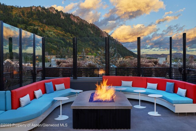 550 S Spring St Unit F10-1-10, Aspen, CO 81611 - photo 51
