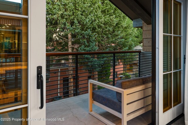 550 S Spring St Unit F10-1-10, Aspen, CO 81611 - photo 43