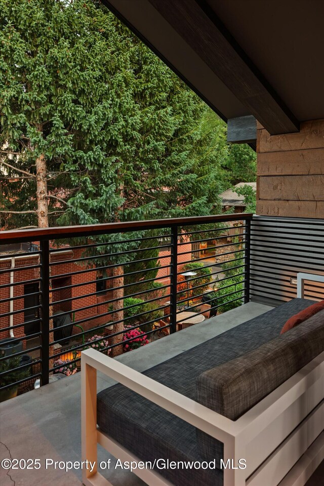 550 S Spring St Unit F10-1-10, Aspen, CO 81611 - photo 44