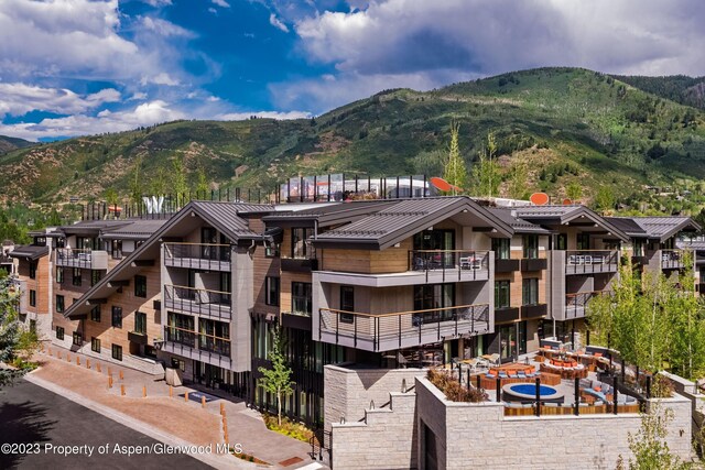 550 S Spring St Unit F10-1-10, Aspen, CO 81611 - photo 57