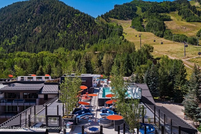 550 S Spring St Unit F10-1-10, Aspen, CO 81611 - photo 55