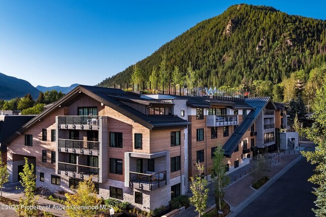 550 S Spring St Unit F10-1-10, Aspen, CO 81611 - photo 47
