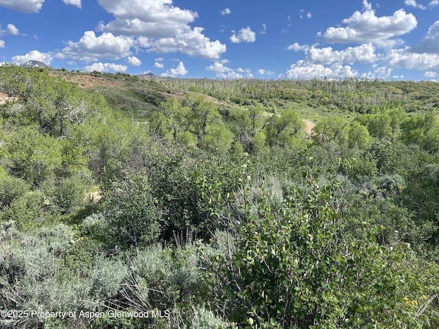 889 Granite Rd, Craig, CO 81625