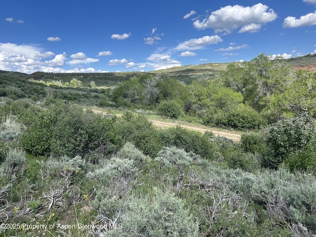 889 Granite Rd, Craig, CO 81625